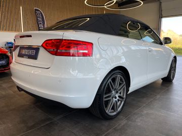 Audi A3 Cabriolet Ambition *ALCANTARA*NAVI*BI-XENON*