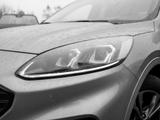 Ford Kuga ST-Line X | ACC | PANO | AHK | KAMERA - Benzin Gebrauchtwagen in Lübeck
