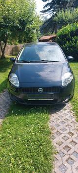 Fiat Punto 1.2 8V Active Active - Fiat Punto in Dresden