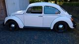 Volkswagen VW Käfer Mexico - Volkswagen: Mexico