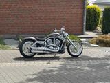 Harley-Davidson V-Rod Thunderbike Komplettumbau Fat Mary - HARLEY-DAVIDSON 2003 V ROD