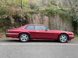 Jaguar XJS - Jaguar XJS