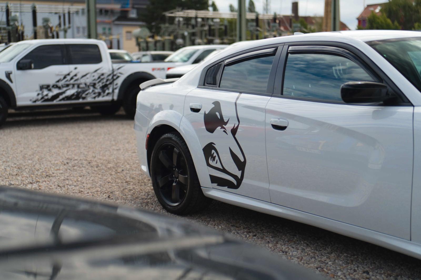 Dodge Charger 3.6 4x4 SRT WIDE BODY ANGRY PANDA LED, миниатюра 21