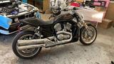 Harley-Davidson Street Rod - HARLEY-DAVIDSON STREET ROD