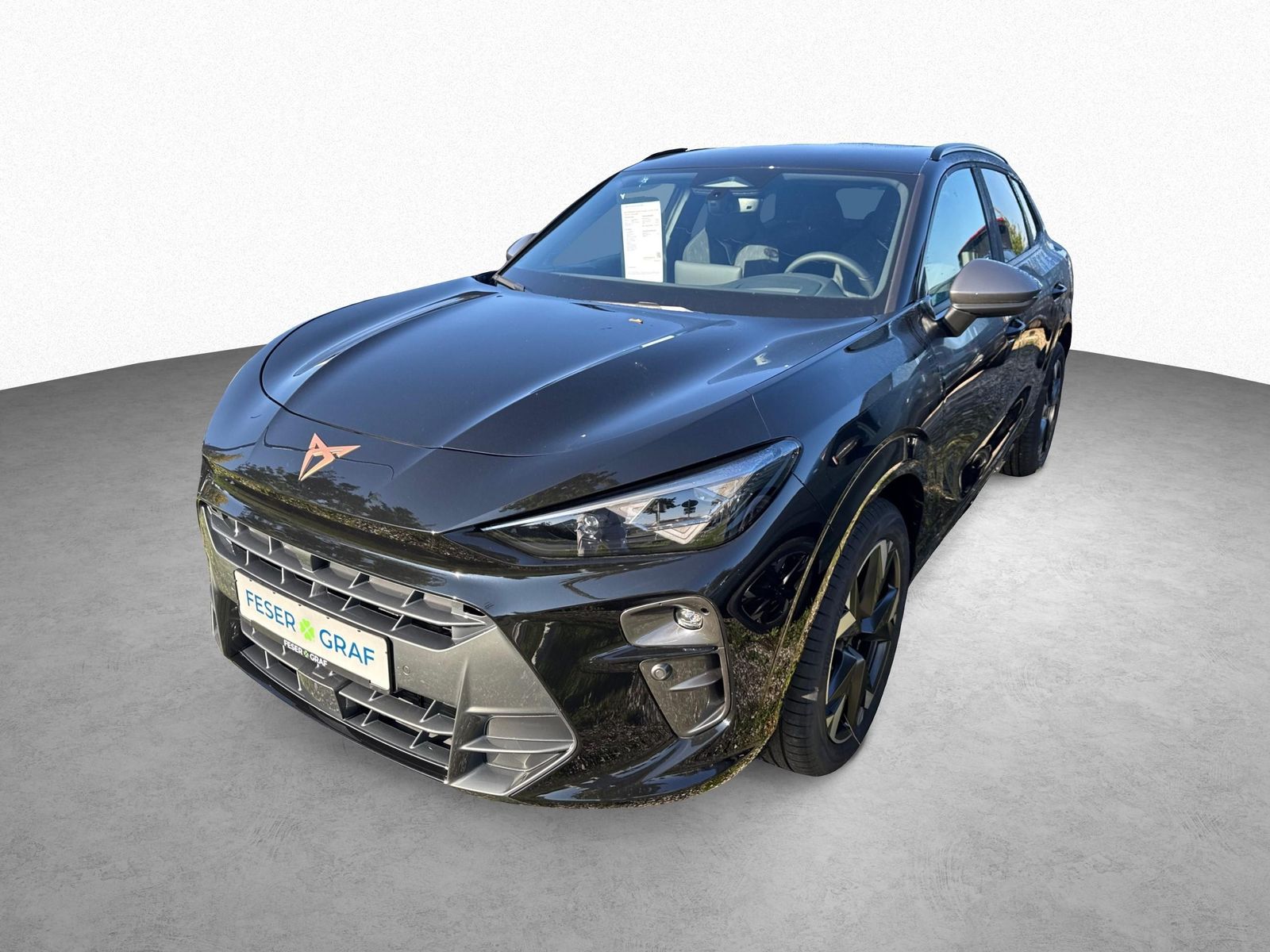 Cupra Terramar - Bild 11