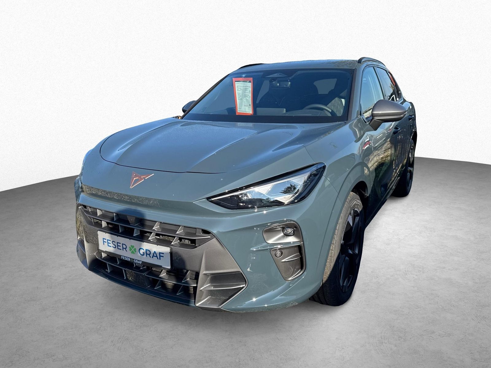 Cupra Terramar - Bild 11