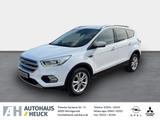 Ford Kuga Titanium 1.5 EcoBoost AHK-klappbar Navi El.