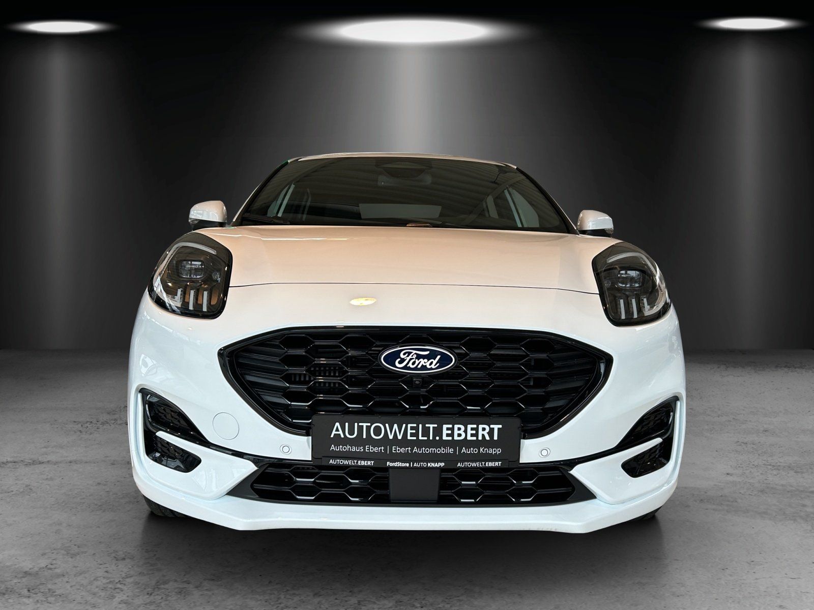 Fahrzeugabbildung Ford Puma ST-Line X 19Zol. Winter Pak. LED Matrix ad.