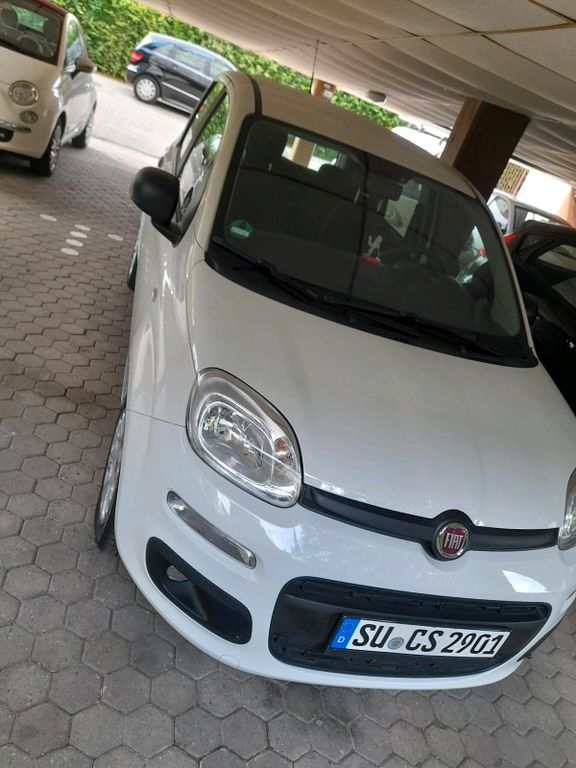 Image of Fiat New Panda