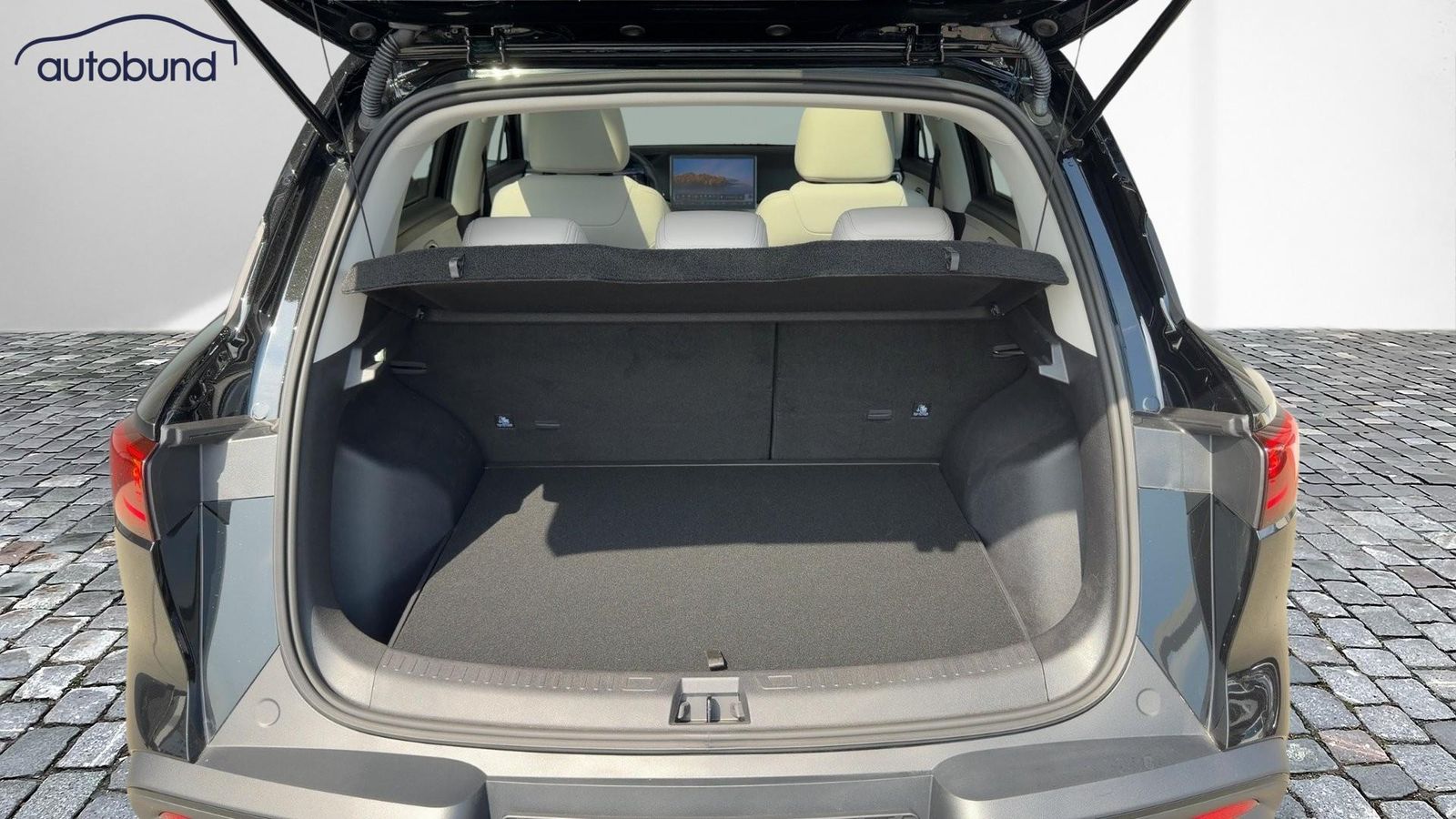 BYD ATTO 2