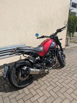 Benelli Leoncino 500 - BENELLI LEONCINO 500