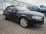 Audi A3 Cabriolet Ambition Leder Braun Xenon Navi TOP - Audi A3: Cabrio, Ambition