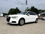 Audi A3 Sportback 30 TDI *Bi-Xenon Navi Sitzh. PDC* - Audi A3 mit Diesel-Antrieb: Weiß
