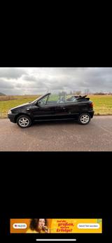 Fiat Punto Cabrio - Fiat Punto mit Benzin-Antrieb: Cabrio