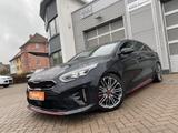 Kia ProCeed 1.6T-GDI DCT GT Pano+JBL+Memory+Navi - gebrauchte Kia pro cee'd / ProCeed aus dem Jahr 2020