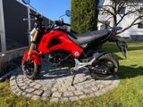 Honda MSX125 GROM - Offers matching your search criteria