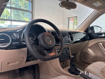 Volkswagen Beetle - 7