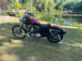 Harley-Davidson Sportster XLH 1200C - HARLEY-DAVIDSON XLH 1200 SPORTSTER