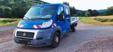 Fiat Ducato Maxi Pritsche Transporter - Fiat: Transporter