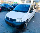 Fiat Panda 1.1 8V Active|IDEAL ANFÄNGER|1.HD|ALU|EU.4 - Fiat Panda Active mit Benzin-Antrieb