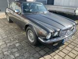 Jaguar XJ12 Double Six Daimler *Sammlerzustand - Jaguar: 12