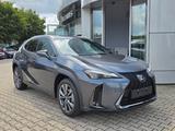 Lexus UX 300h F Sport Design ACC FLA SpurH LM - Lexus UX in Dresden