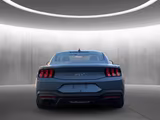Ford Mustang Fastback 5.0 Ti-VCT V8 328 kW GT - Ford Mustang Gebrauchtwagen in Bremen