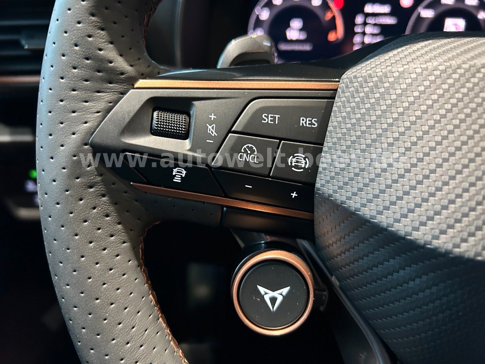 Cupra Formentor - Bild 10