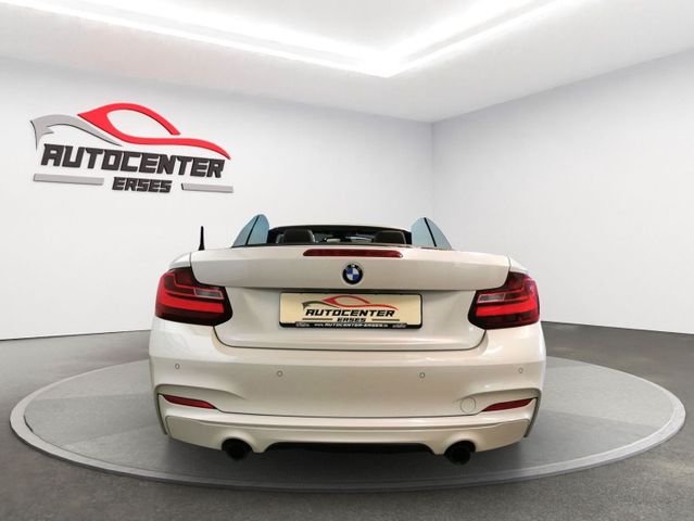 BMW M240i Shadow-Line  Navi PDC H&K 19"Alus Memory