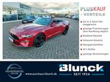 Ford Mustang GT Convertible 5.0 V8 /450 PS - Ford Mustang in Rostock