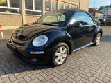 Volkswagen New Beetle 1,4 Cabrio Exclusive E-Dach        - Volkswagen Beetle: New