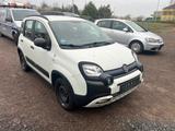 Fiat Panda Waze CROSS 1,2L SITZH*KLIMA*1.ERSTBESITZ - Fiat Panda CROSS