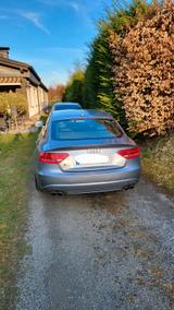 Audi S5 3.0 TFSI S tronic quattro Sportback - - Audi S5 von privat
