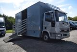 Iveco 80E15 Eurocargo *Pferdetransporter*4 Pfeder - Iveco 80 e 15