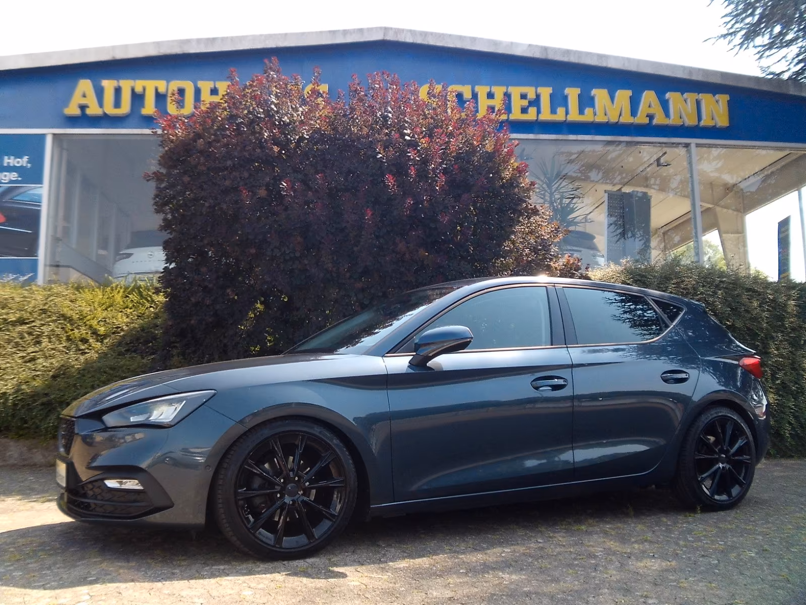 Seat Leon 1.5 Style PDCv+h Climatronic Carplay/Androi