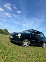 Volkswagen Lupo 1.4 44kW Oxford Tüv neu  - Volkswagen Lupo: Oxford
