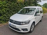 Volkswagen Caddy Maxi Comfortline 1.4 TSI, 96 kW, weiß  - Volkswagen Caddy Maxi: Limousine