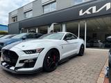 Ford Mustang Shelby GT500 - Ford Mustang: Shelby Gt500