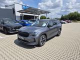Skoda Kodiaq 1.5 TSI DSG Sportline NEUES MODELL PANO 7 - Skoda mit Benzin-Antrieb: Modell