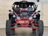 Arctic Cat 1000i GT 4x4 Wildcat UMBAU#AHK#SEILWINDE#TÜVNEU - ARCTIC CAT WILDCAT