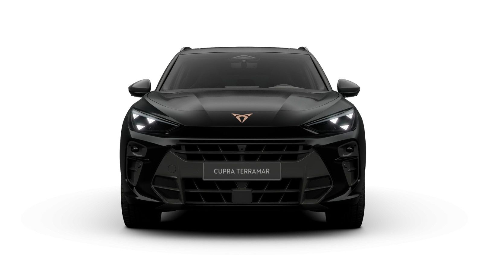 Cupra Terramar - Bild 2