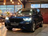 BMW X5 M50i xDrive Shadow Line*LASER*PANO*H&K*360° - blaue BMW X5 M50