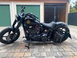 Harley-Davidson FLSTSE - HARLEY-DAVIDSON NAKED BIKE