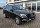 Mercedes-Benz ML 350 CDI BlueTec AHK Xenon PDC Navi - gebrauchte Mercedes-Benz ML 350 aus dem Jahr 2014