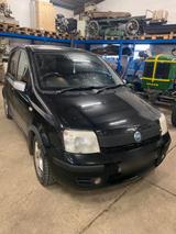 Fiat Panda 100 HP - Fiat Panda Kleinwagen 100hp mit Benzin-Antrieb