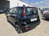 Fiat Panda Cross MY22 City Plus Hybrid 1.0 GS - Fiat Panda in Leipzig