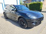 Porsche Macan GTS - Porsche Macan in Gelsenkirchen