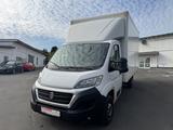 Fiat Ducato - gebrauchte Fiat Ducato aus dem Jahr 2019