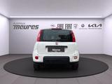Fiat Panda PANDINA Hybrid 70 PS, Allwetter, Gelato We - Fiat Panda Pandina mit Hybrid-Antrieb (Benzin/Elektro)