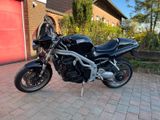 Triumph Speed Triple t509 - TRIUMPH TRIPLE SPEED T509